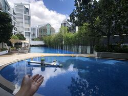 Watermark Robertson Quay (D9), Apartment #514403741